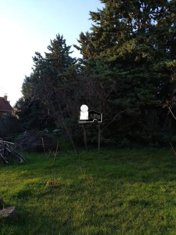 Terreno en calle Gladiolo