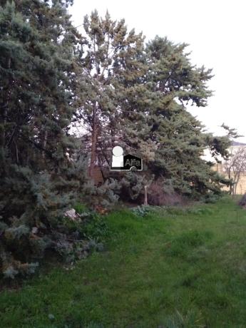 Terreno en calle Gladiolo