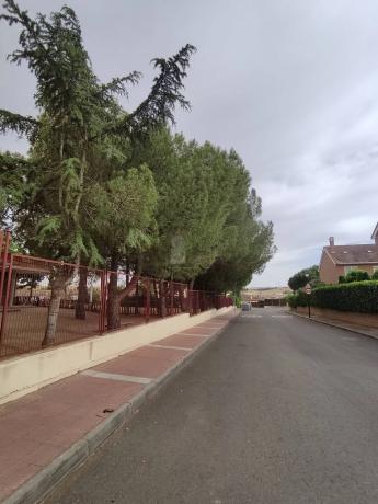 Terreno en calle Gladiolo