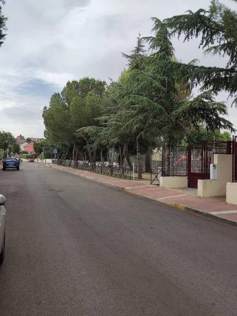 Terreno en calle Gladiolo