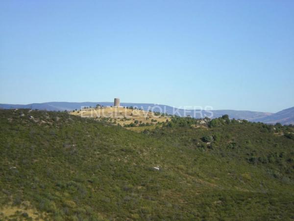 Terreno en Torremocha de Jarama