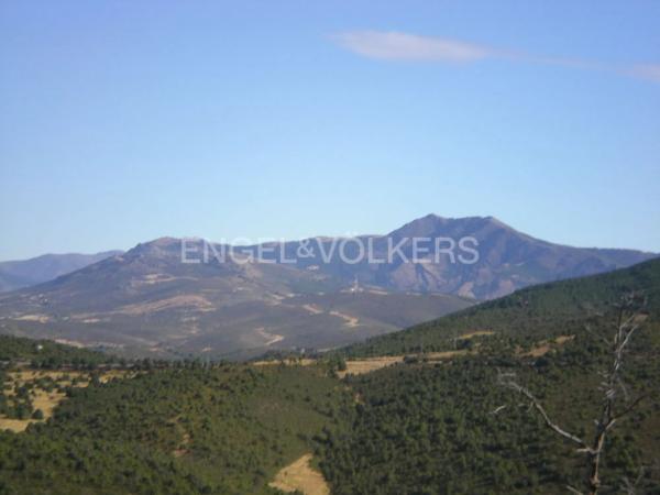 Terreno en Torremocha de Jarama