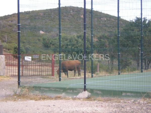 Terreno en Torremocha de Jarama