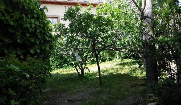 Terreno en calle Murga