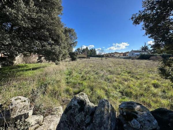 Terreno en camino de la Cabrera