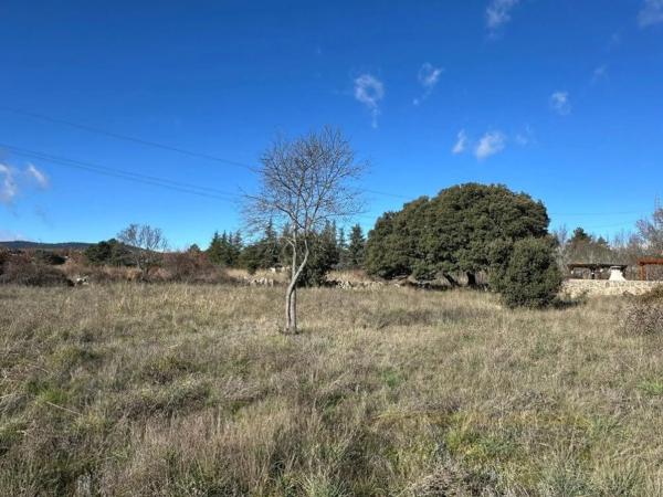 Terreno en camino de la Cabrera