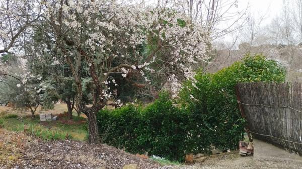 Terreno en calle Cuenca, 3