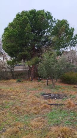 Terreno en calle Cuenca, 3