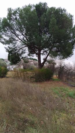 Terreno en calle Cuenca, 3