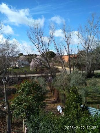 Terreno en calle Cuenca, 3