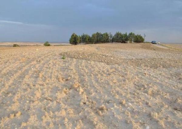 Terreno en paraje alto cerrolera s/n