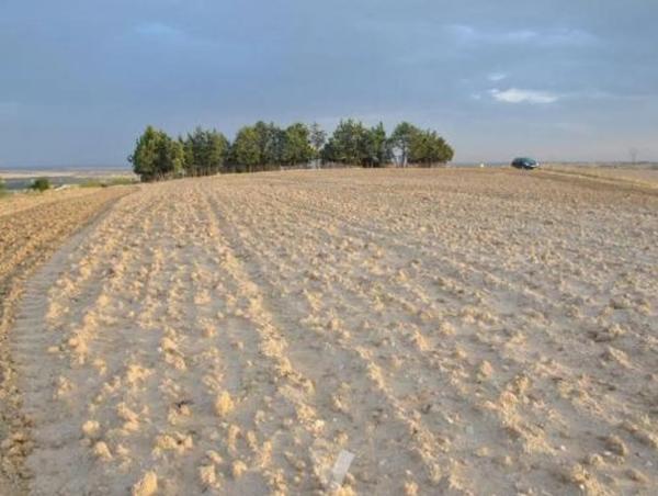 Terreno en paraje alto cerrolera s/n