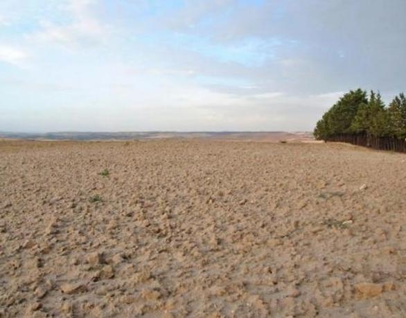 Terreno en paraje alto cerrolera s/n