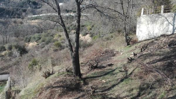 Terreno en calle Santiago
