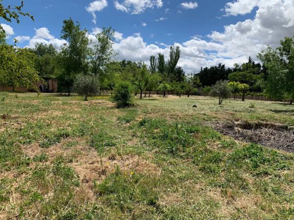 Terreno en calle del Cedro