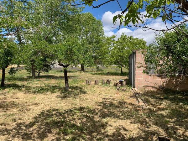 Terreno en calle del Cedro