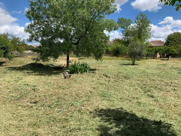 Terreno en calle del Cedro