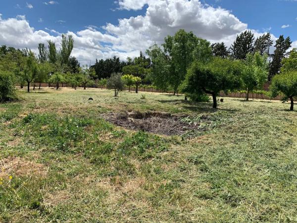 Terreno en calle del Cedro