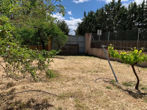 Terreno en calle del Cedro