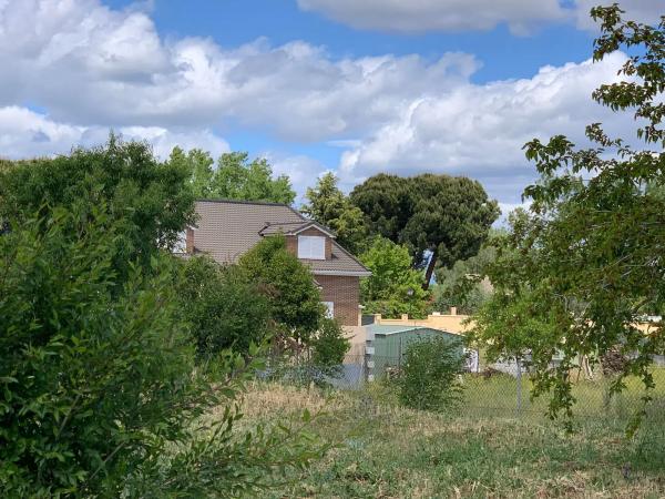 Terreno en calle del Cedro