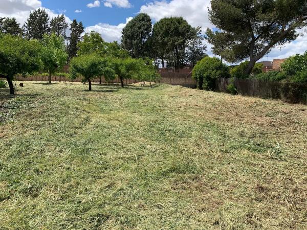 Terreno en calle del Cedro