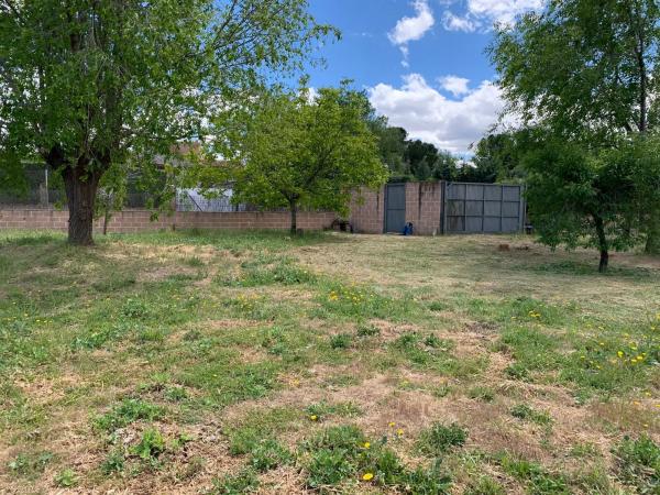 Terreno en calle del Cedro