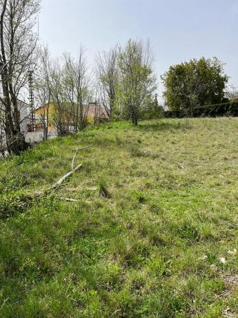 Terreno en calle San Pedro, 17