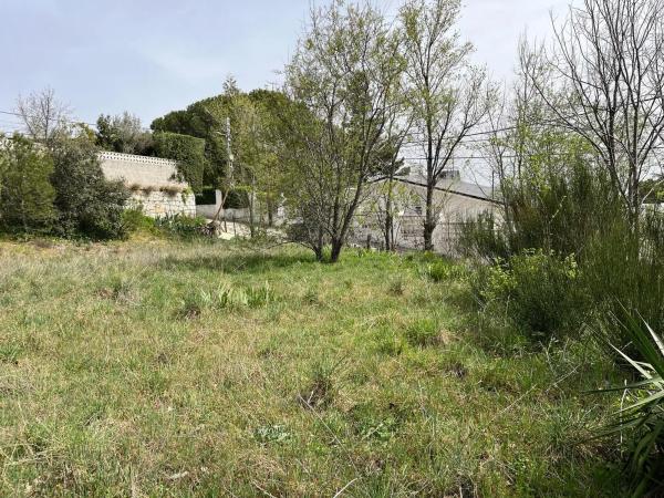 Terreno en calle San Pedro, 17