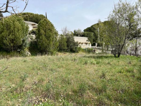 Terreno en calle San Pedro, 17