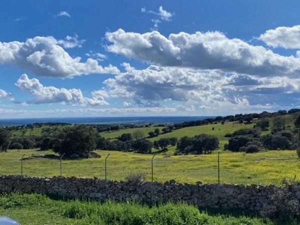 Terreno en Las Vegas - El Pozanco - Adelfillas