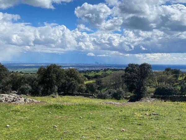 Terreno en Las Vegas - El Pozanco - Adelfillas