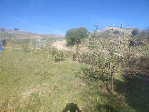 Terreno en senda de las Raposeras, 16