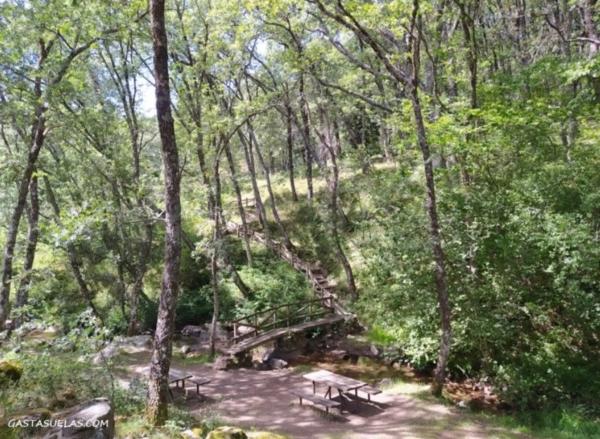 Terreno en camino del Puerto s/n