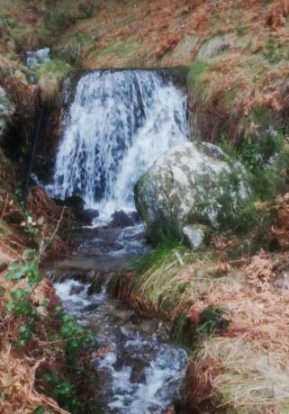 Terreno en camino del Puerto s/n