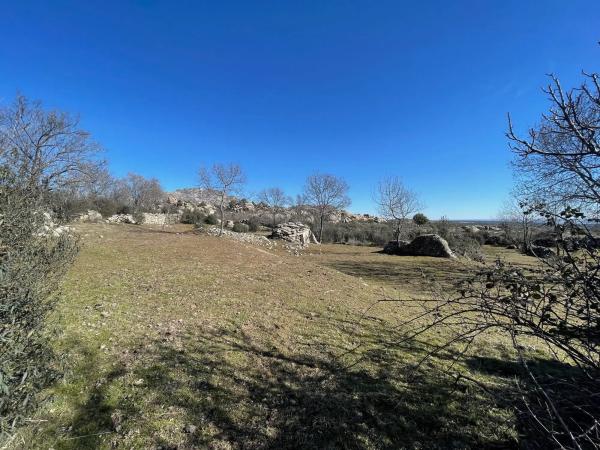 Terreno en camino de Guadalix, 8