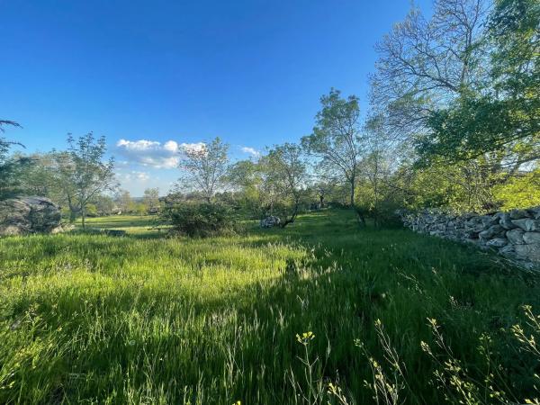 Terreno en camino de Guadalix, 8