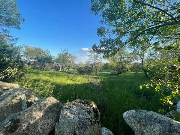 Terreno en camino de Guadalix, 8