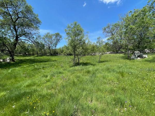 Terreno en camino de Guadalix, 8
