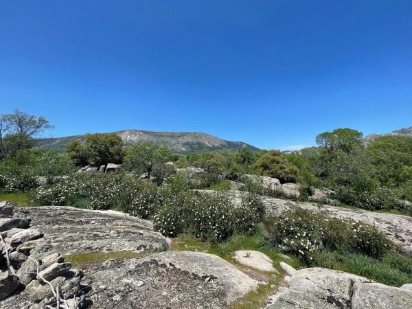 Terreno en camino de Guadalix, 8