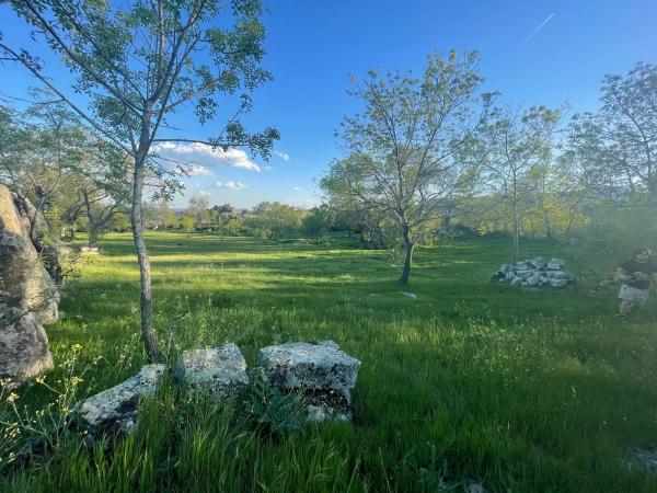 Terreno en camino de Guadalix, 8