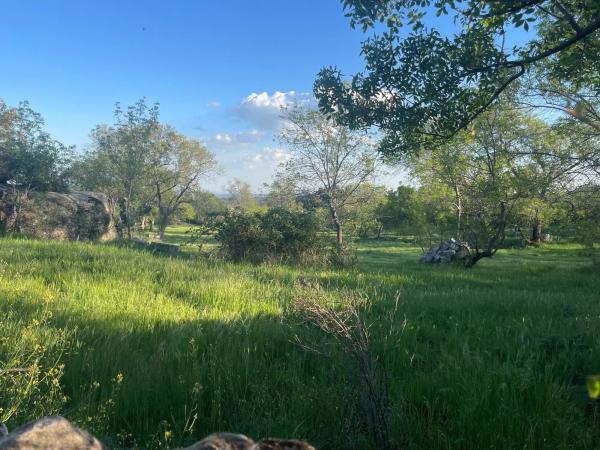 Terreno en camino de Guadalix, 8