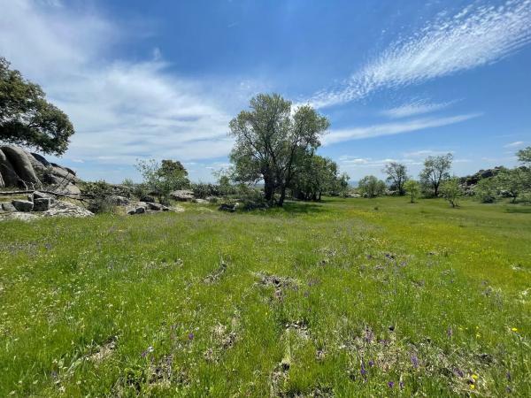 Terreno en camino de Guadalix, 8