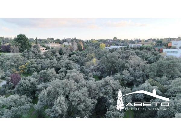 Terreno en calle del Naranjo de Bulnes