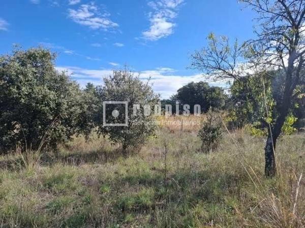 Terreno en Navalafuente