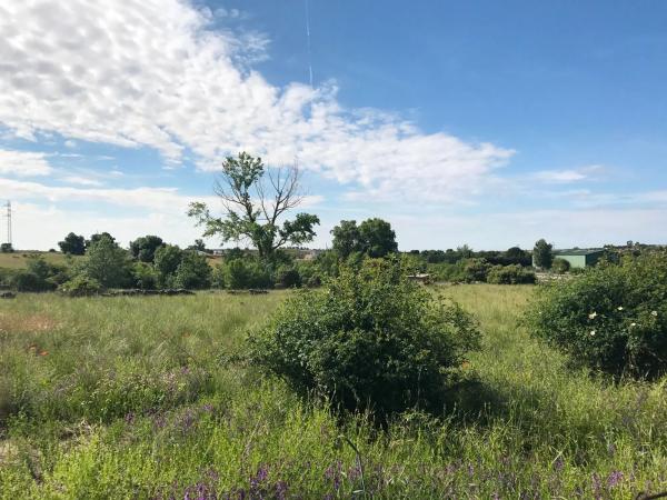 Terreno en A-1, km 47