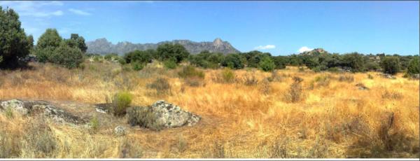 Terreno en camino el canalejo, km 0