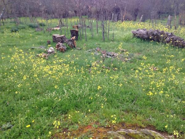 Terreno en calle de las Eras, 15