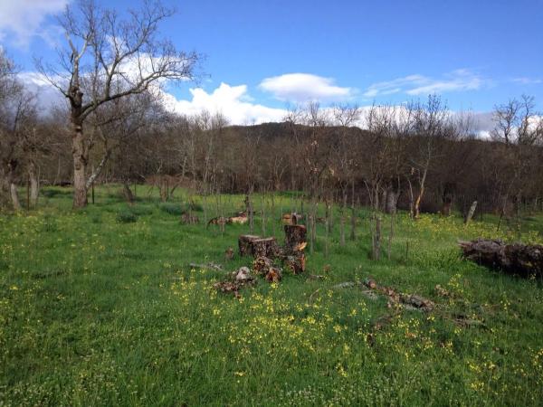 Terreno en calle de las Eras, 15