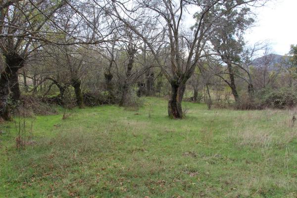 Terreno en calle de las Eras, 15