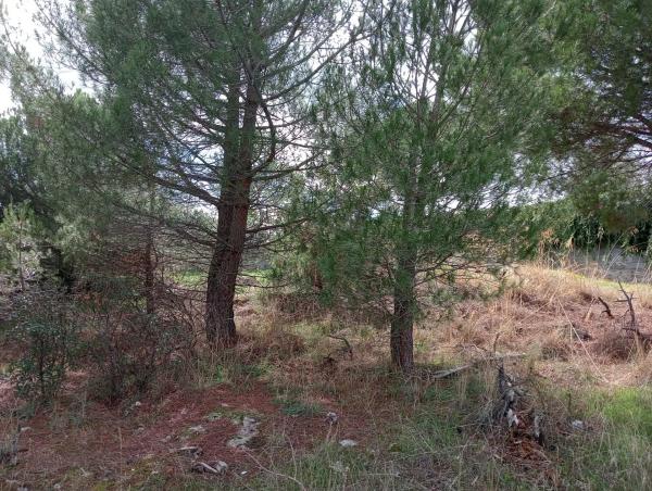 Terreno en calle Río Guadiana, 5 -1